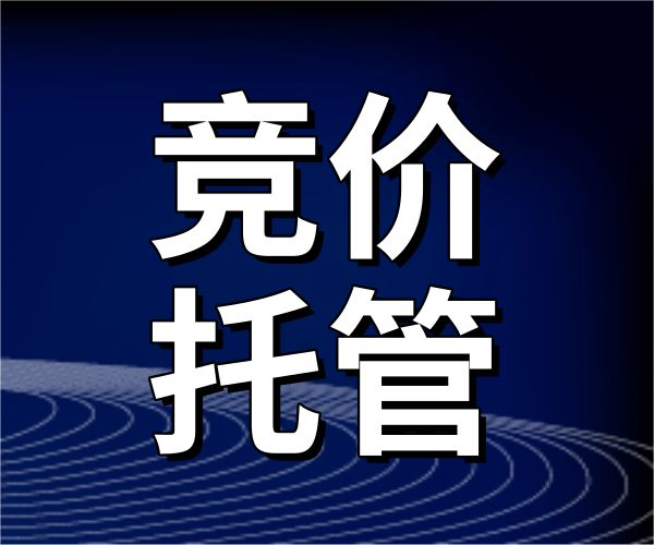 河南競價(jià)托管代運(yùn)營 河南競價(jià)托管代運(yùn)營